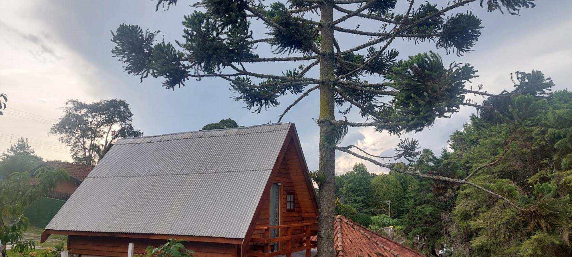 Chale Com Hidromassagem Da Vick Campos do Jordão Exterior foto